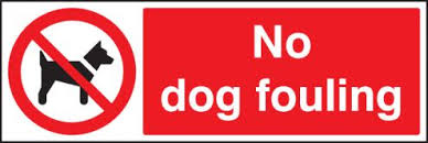 Report Litter and Dog Fouling